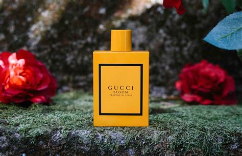 profumo della gucci|Gucci bloom longevity.